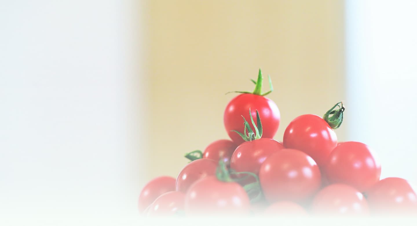 Mushroom Kit Installation